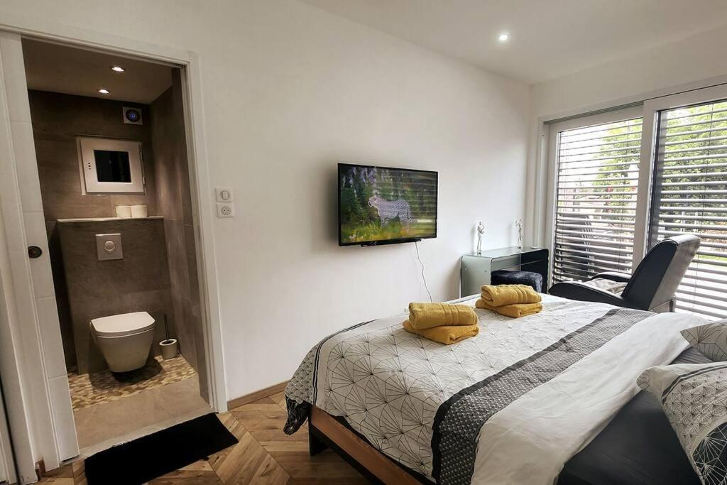 Suite Prestige Logement Neuf Avec Spa Et Ecran De Cinema En Rez De Jardin Colmar Exterior photo