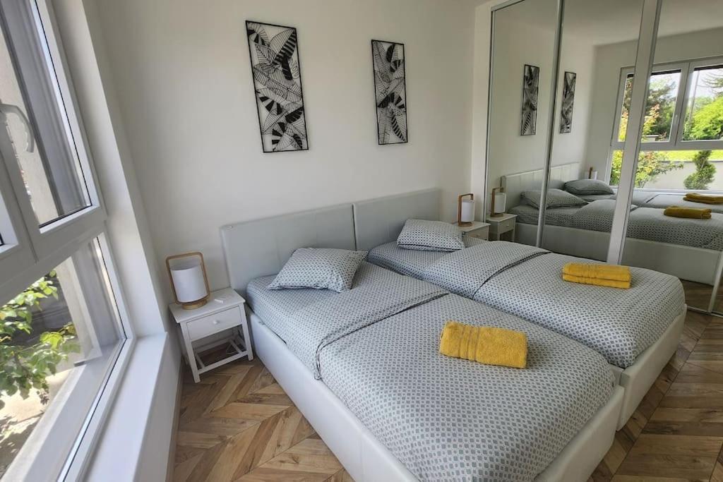 Suite Prestige Logement Neuf Avec Spa Et Ecran De Cinema En Rez De Jardin Colmar Exterior photo