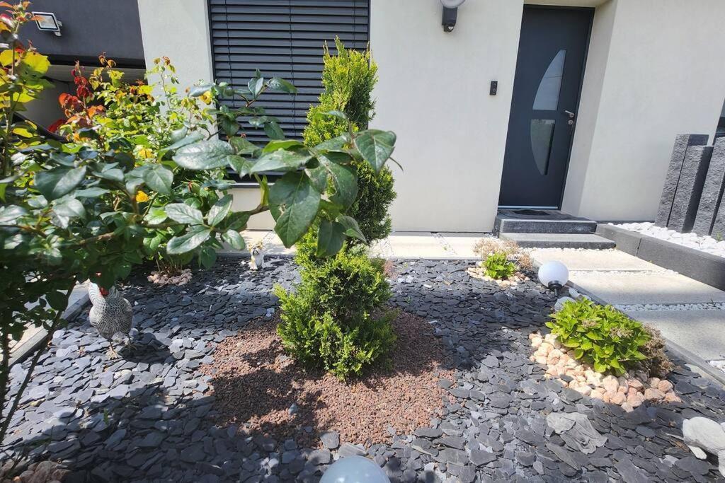 Suite Prestige Logement Neuf Avec Spa Et Ecran De Cinema En Rez De Jardin Colmar Exterior photo