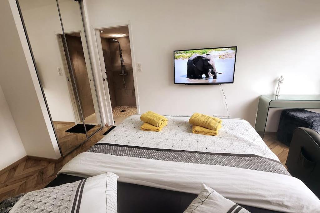 Suite Prestige Logement Neuf Avec Spa Et Ecran De Cinema En Rez De Jardin Colmar Exterior photo