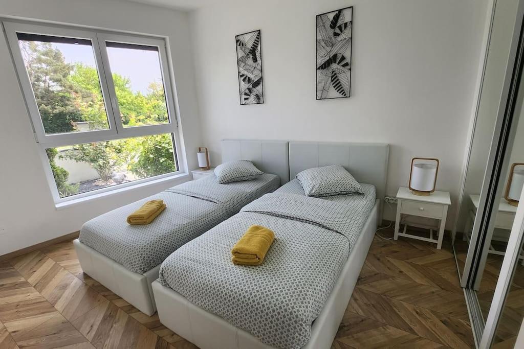 Suite Prestige Logement Neuf Avec Spa Et Ecran De Cinema En Rez De Jardin Colmar Exterior photo